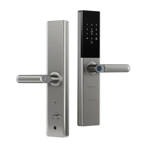 Smart Lock Tuya for security door
